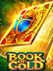 Descubra o Fascinante Mundo do Jogo 'BookofGold'